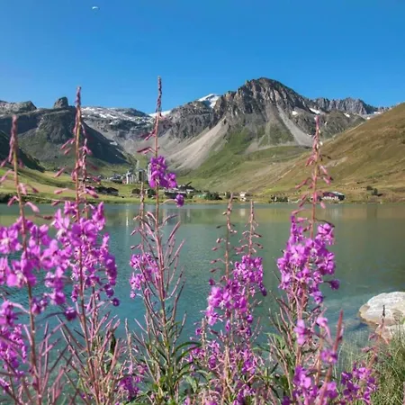 Savoyard Charm In Tignes